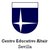 Centro Educativo Altair (Sevilla)