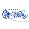 Asociación La Maraña de Guadalajara