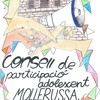 Consejo de Participación Adolescente de Mollerussa