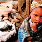 la niña que no aprendio nunca la niña que no aprendio nunca