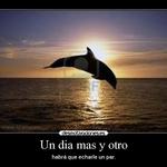 Un día más y otro Un día más y otro