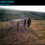 Cortometraje " Ese árbol camina " Cortometraje " Ese árbol camina "