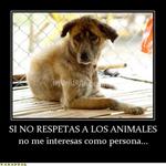 No todas las personas saben como amar a los perros pero todos los perros sí saben como amar a una persona.