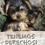 Todos Necesitan una Oportunidad Todos Necesitan una Oportunidad