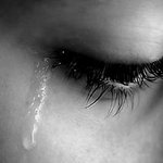 Ya nadie detiene las peleas.... Ya nadie detiene las peleas....