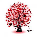 Carta al amor