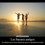 La vida en grupo