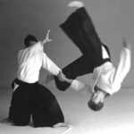 Artes marciales derivadas del Jiu jitsu Artes marciales derivadas del Jiu jitsu