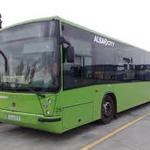 YO Y EL BUS YO Y EL BUS