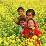 La felicidad; algo fundamental en la vida