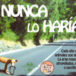 Ellos no lo harían. 
