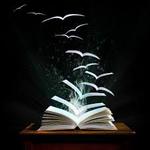 ¿¿¿¿Libros ????