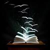 ¿¿¿¿Libros ????