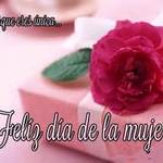 Mi madre; mi ejemplo a seguir