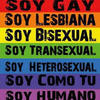 TODOS SOMOS IGUALES ( no a la homofobia)