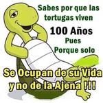 Vive y deja vivir Vive y deja vivir