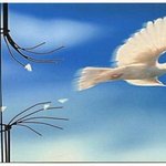Libertad Libertad