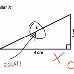 En clase: profesores y recuerdos 
