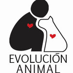 Di NO al maltrato animal