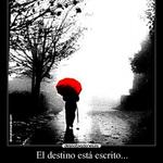 Mi destino