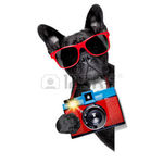 La fotografia 