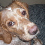 Hanna