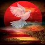 Paz y amor y el plus para el salón Paz y amor y el plus para el salón