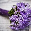 Un ramito de violetas