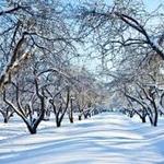 INVIERNO