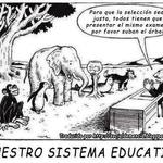Injusticias educativas. Injusticias educativas.