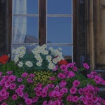 La Ventana 