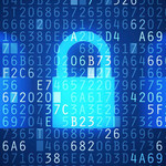 La seguridad en Internet
