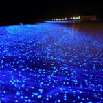 ~*UN MAR DE ESTRELLAS*~