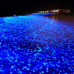 ~*Un mar de estrellas*~
