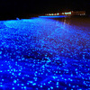 ~*Un mar de estrellas*~