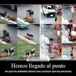 El....¿Mundo? El....¿Mundo?