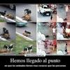 El....¿Mundo?