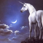 Unicornios ¿reales?