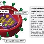 ¿Diferencia entre el VIH y SIDA? [DIA MUNDIAL DE LA LUCHA CONTRA EL SIDA]