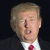 Trump y como no, más Trump
