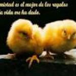 LA AMISTAD ES TODO LA AMISTAD ES TODO