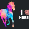 mi presentación y mi pasión por los caballos