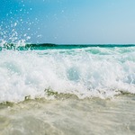 El Verano El Verano