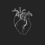 El palpitar de un corazon El palpitar de un corazon