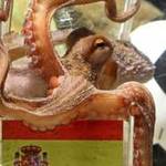 El Pulpo Paul lo quiere Rusia