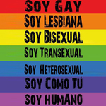 Homofobia