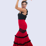 Flamenco Flamenco