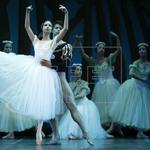 El ballet El ballet