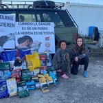 Celebramos el Día del Galgo (1 de Febrero) Con la protectora especialista en galgos “Amores Peludos”