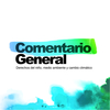 Colabora con el Comité de los Derechos del Niño en la Observación 26